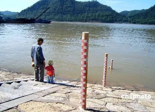 白鲟灭绝，为什么有人要炸掉三峡大坝？（组图） - 23