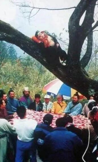 连姜文都“晚节不保”？内娱这是迟早要完？（组图） - 50