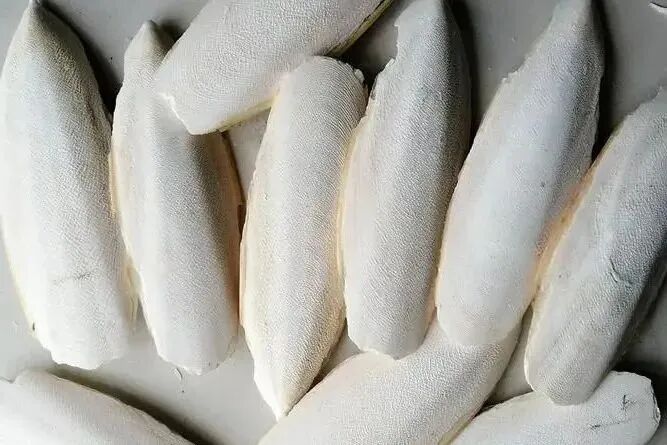 海什么止血这味来自大海的良药，可治崩漏带下、外伤出血、湿疹脚藓，还是胃溃疡的克星！_https://www.jmylbn.com_新闻资讯_第11张