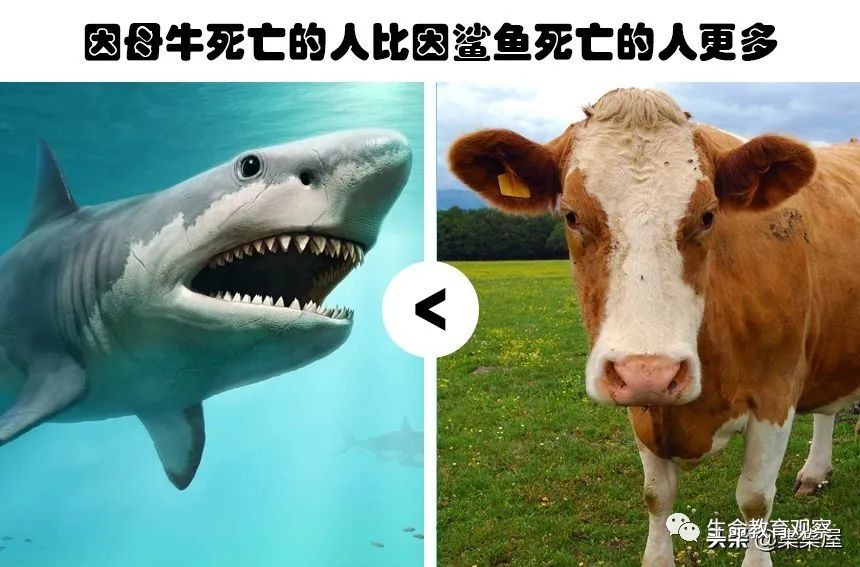 生物冷知識：25個令人驚奇的動物事實(shí)！