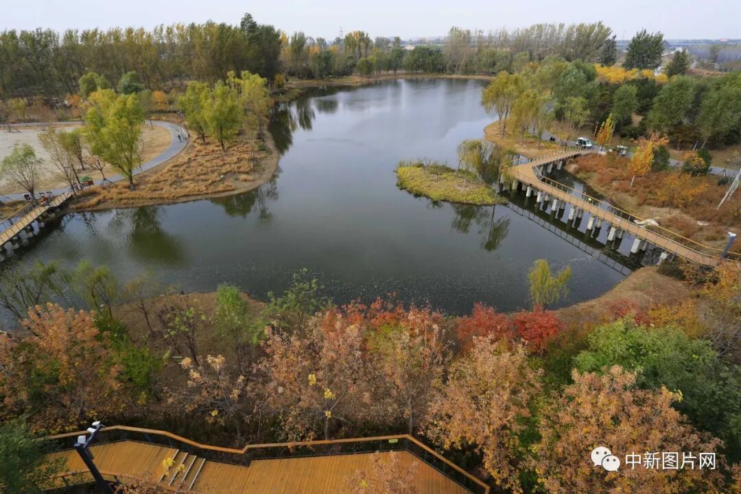 《东郊湿地公园秋色》&nbsp;艺无止境/摄