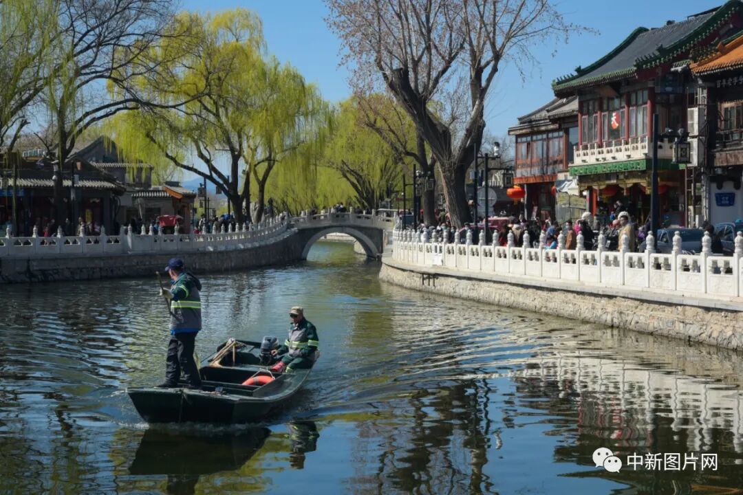 《春游什刹海》&nbsp;老牛/摄