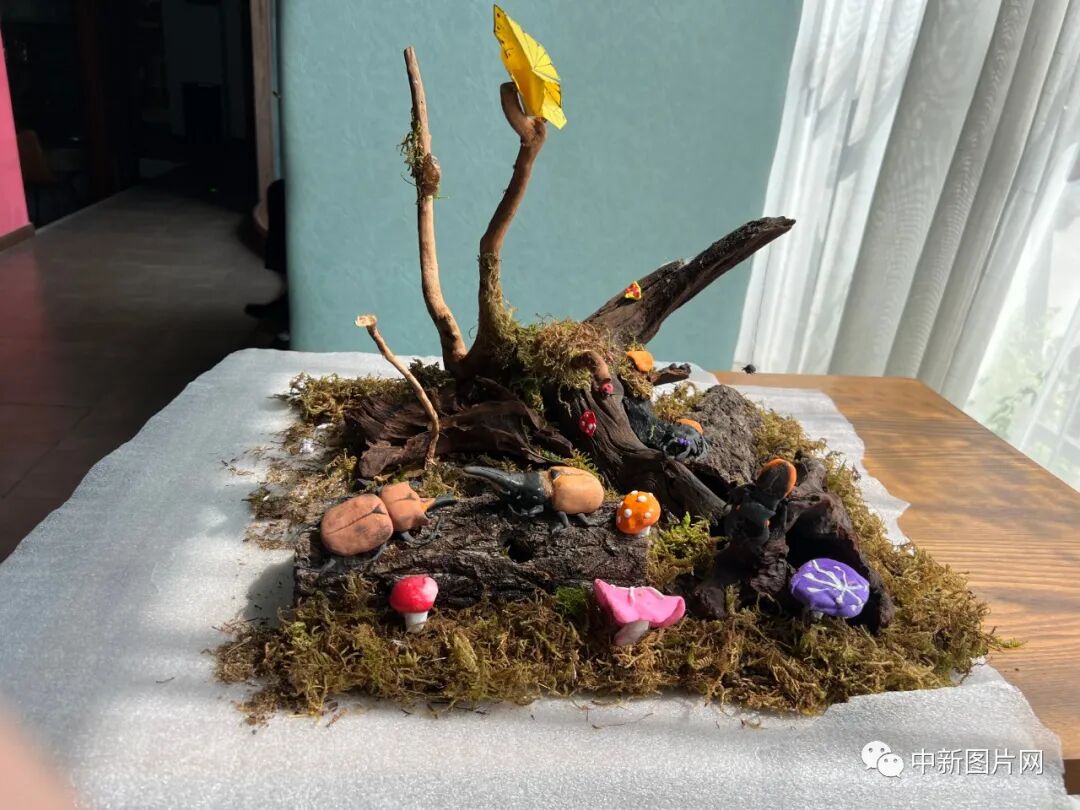 保护生物多样性我们在行动