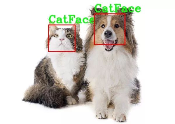 怎么用Python+OpenCV实现猫脸检测