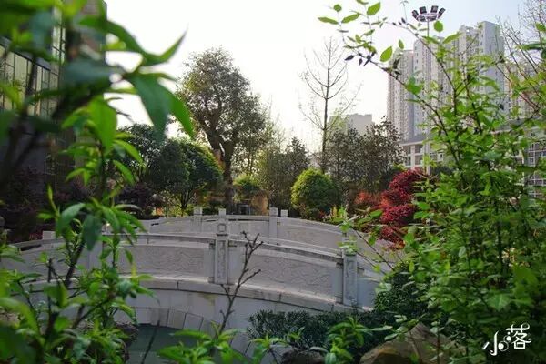 装修效果图三室一厅一卫_三室二厅二卫装修全套效果图_装修效果图歺厅