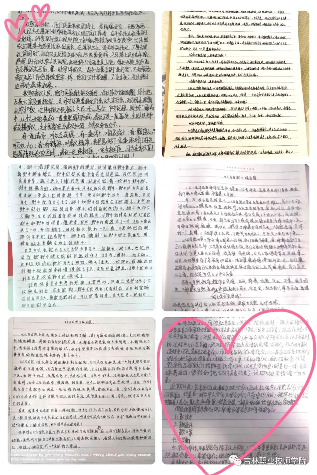 认识大自然的手抄报_认识大自然手抄报文字内容_认识自然手抄报大全