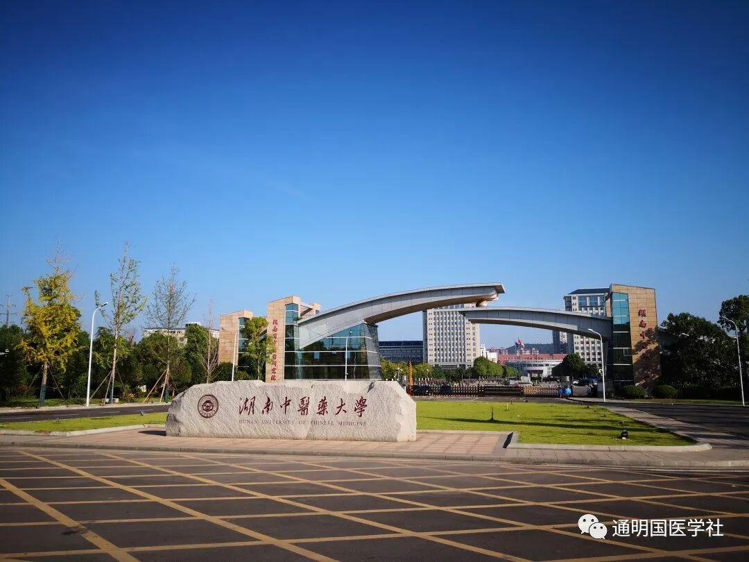 140味常用中药饮片识别