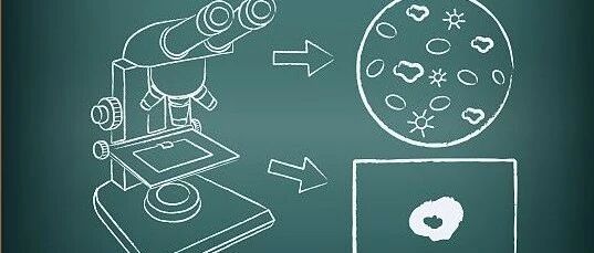 白血病基因一直没转阴怎么办？