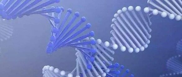 如何防止白血病再产生新的肿瘤细胞？