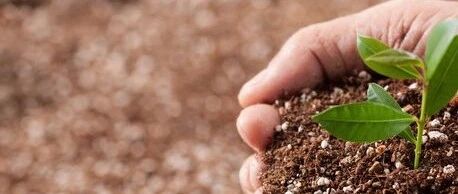 不仅在骨髓当中，白血病【髓外浸润】会影响哪些部位？