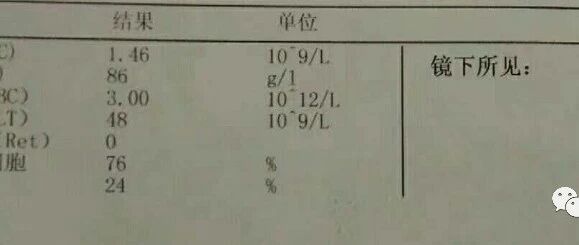 白血病移植全面复发+排尿异常，怎么办？