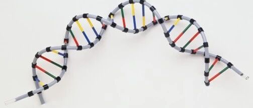 【get】难治性白血病移植前中后的治疗调整