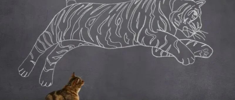 该索赔案诉讼时效只剩150多天，此前已有胜诉判决，受损投资者积极索赔！