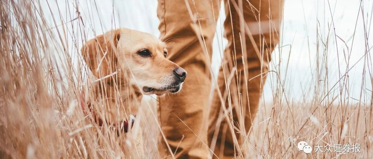 外围市场火热，A股不涨反跌！而这类个股却迎来反弹机会