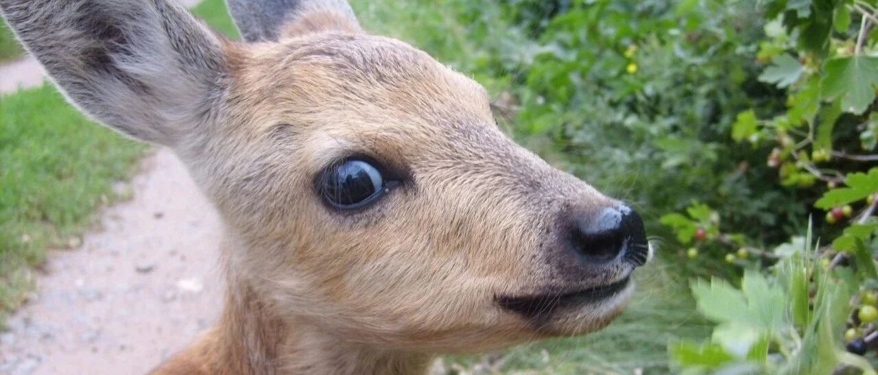 近一半公司中报业绩预喜，医药生物下半年景气度仍将持续