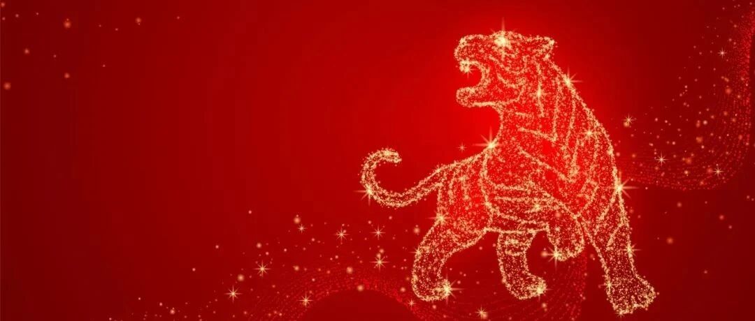 看金牛小试刀，盼瑞虎跃新程，虎年牛股畅想？