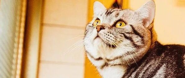 净利润大增72倍，公司股价逆势大涨，大股东却在大幅减持……