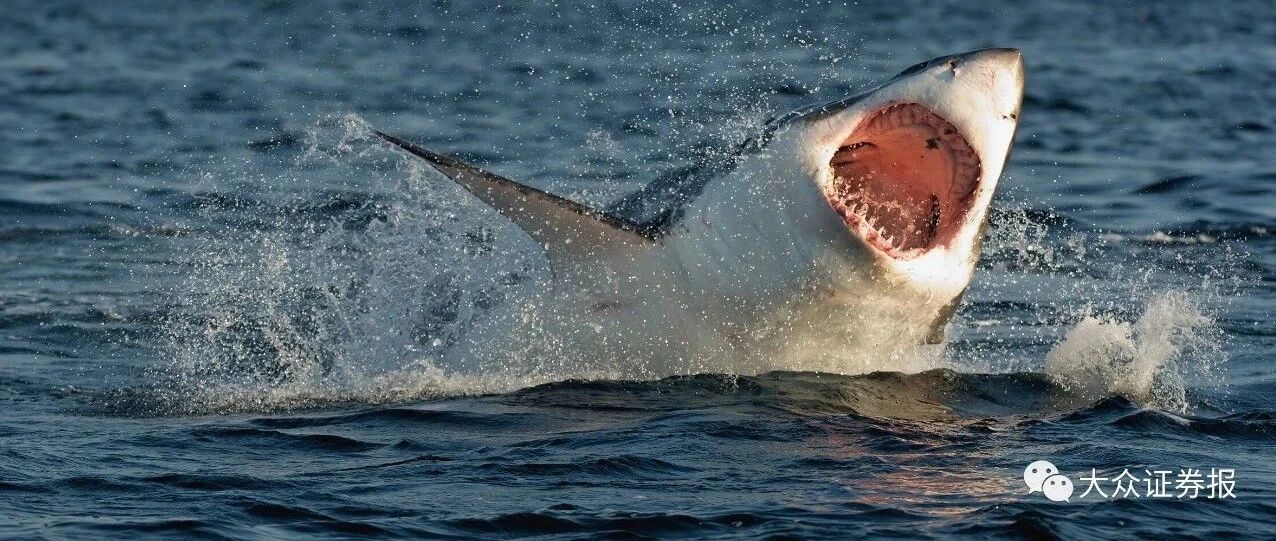 警惕！创业板市场火爆，市场人士发出警告：高度重视注册制下的交易风险