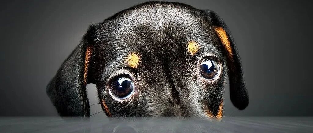 警惕！公司业绩大增等多重利好下，股价高位下跌！机构“喊买”却在大举出逃