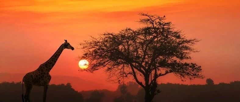 存量资金博弈加剧，短期市场震荡概率偏大