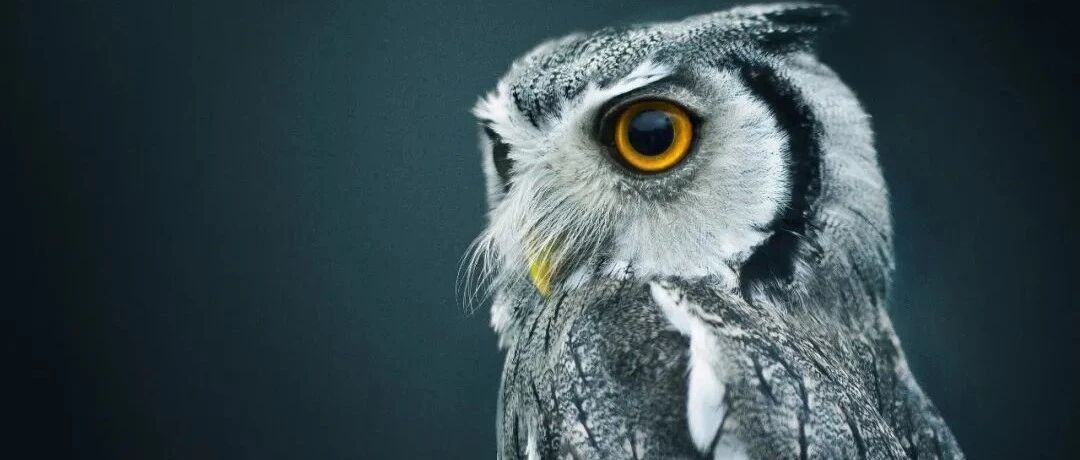 身陷联合做局传闻，“喊冤”！疑点难解，公司股价跌停