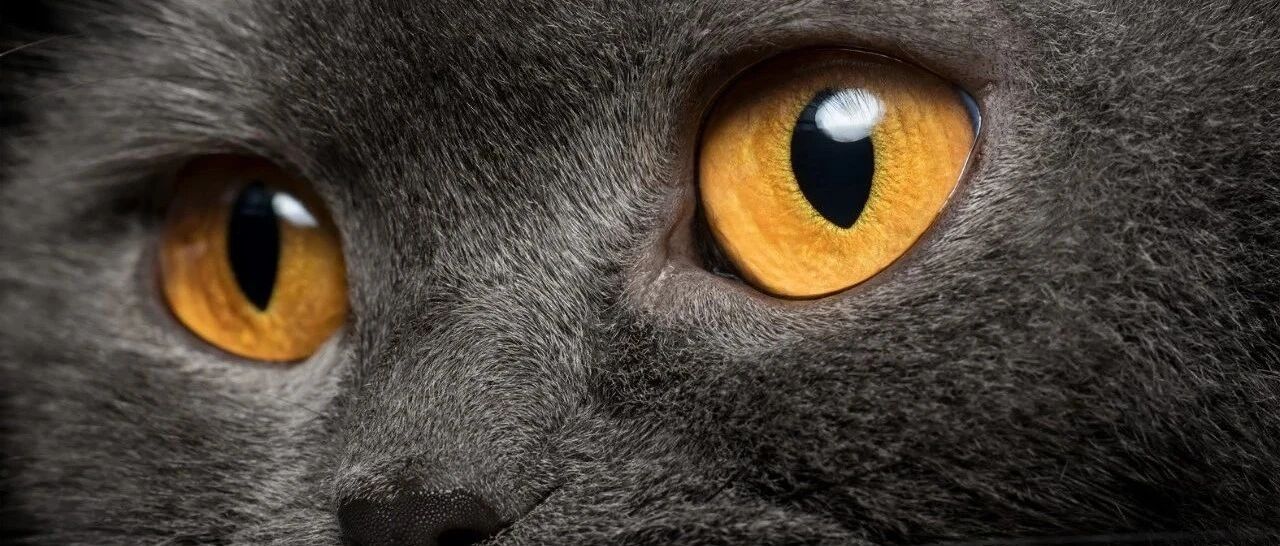 192亿元回购自家股票！强烈关注这类“护盘式”个股