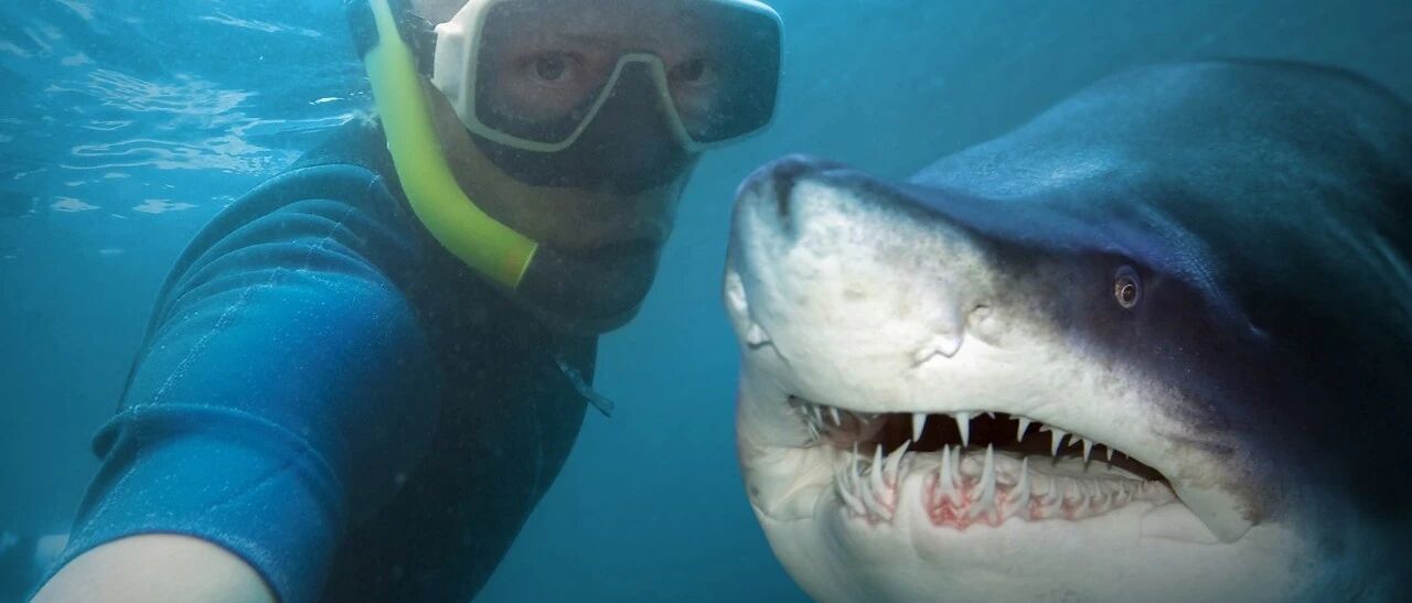 直线涨停！控股股东一张免税牌照，公司股价一个月涨了两倍！二股东已忙着套现