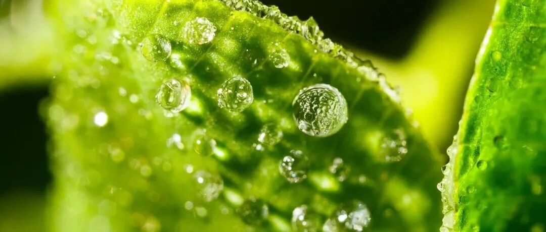 市场情绪降至冰点？​公私募：不要慌！