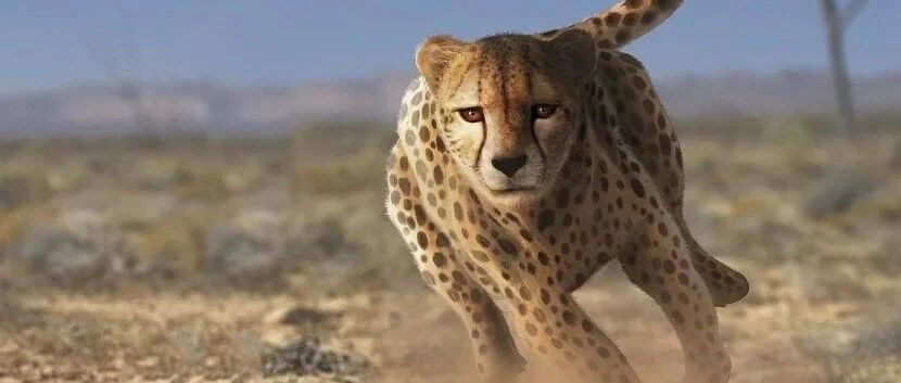 立马“变脸”！公司上市前净利年年增长，上市后下降逾两成，股东们却忙着套现……