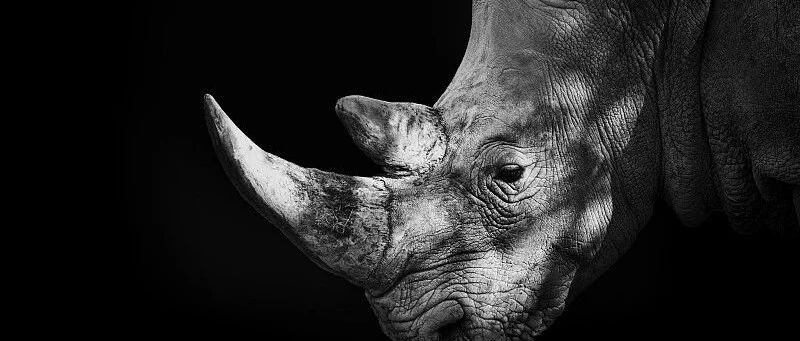 控制权转让成“暗箱”操作，这是对中小投资者合法权益的轻视！受损投资者可参与诉讼索赔