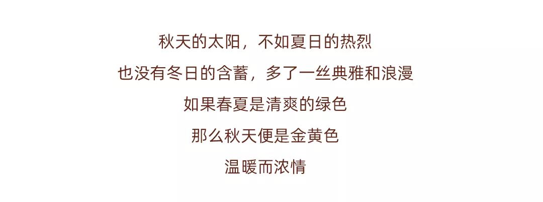 微信图片_20200108100442_02