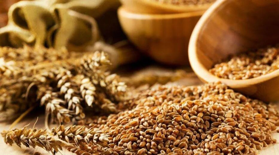 减肥餐不是别人给你的，就一定适合你