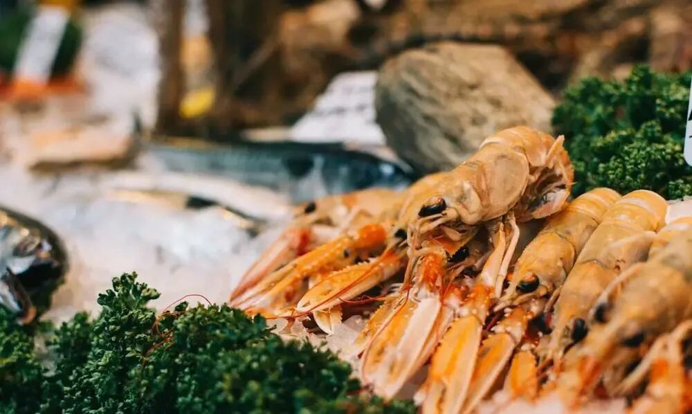 減肥食譜健康科學(xué)_健康減肥食譜_減肥食譜健康營養(yǎng)