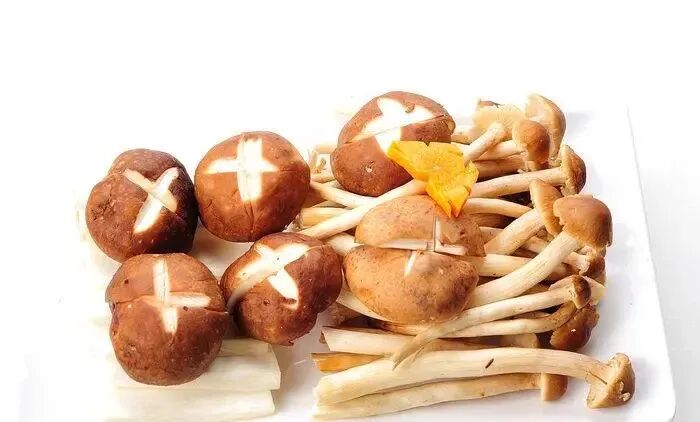 健康減肥食譜_減肥食譜健康營養(yǎng)_減肥食譜健康科學(xué)