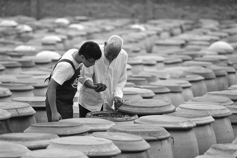 发酵你知多少？98%的人对茶叶的发酵存在误解！