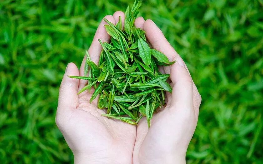 2018年大黑茶产业发展趋势分析