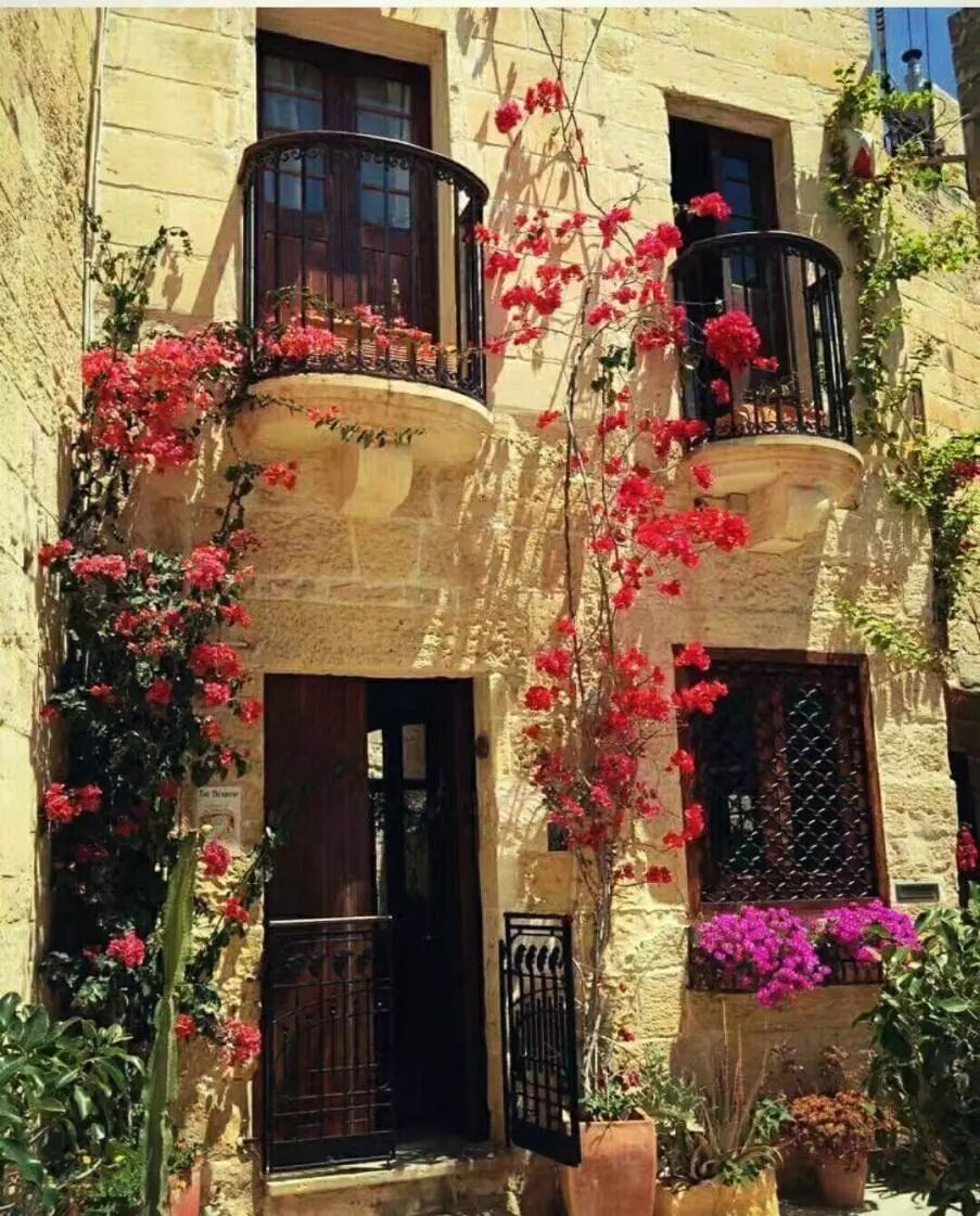 行业大咖干货分享！5分钟读懂马耳他房地产市场