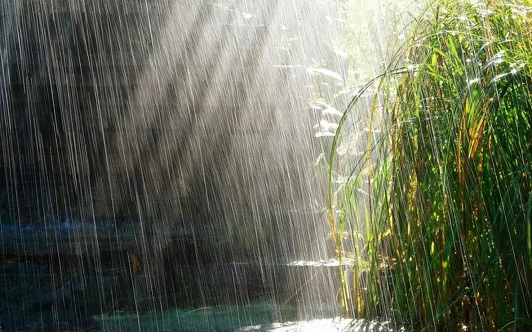 越是脾胃虚寒、阳气不足的人，越要借助夏天的阳气，把阳气补回来