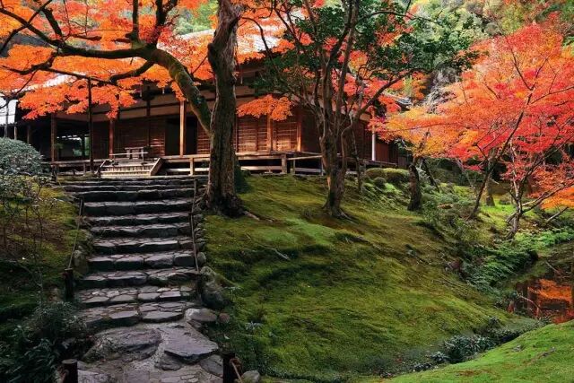 旅行招募 最美红叶季 去京都赴一场古典庭园的盛宴 自由微信 Freewechat