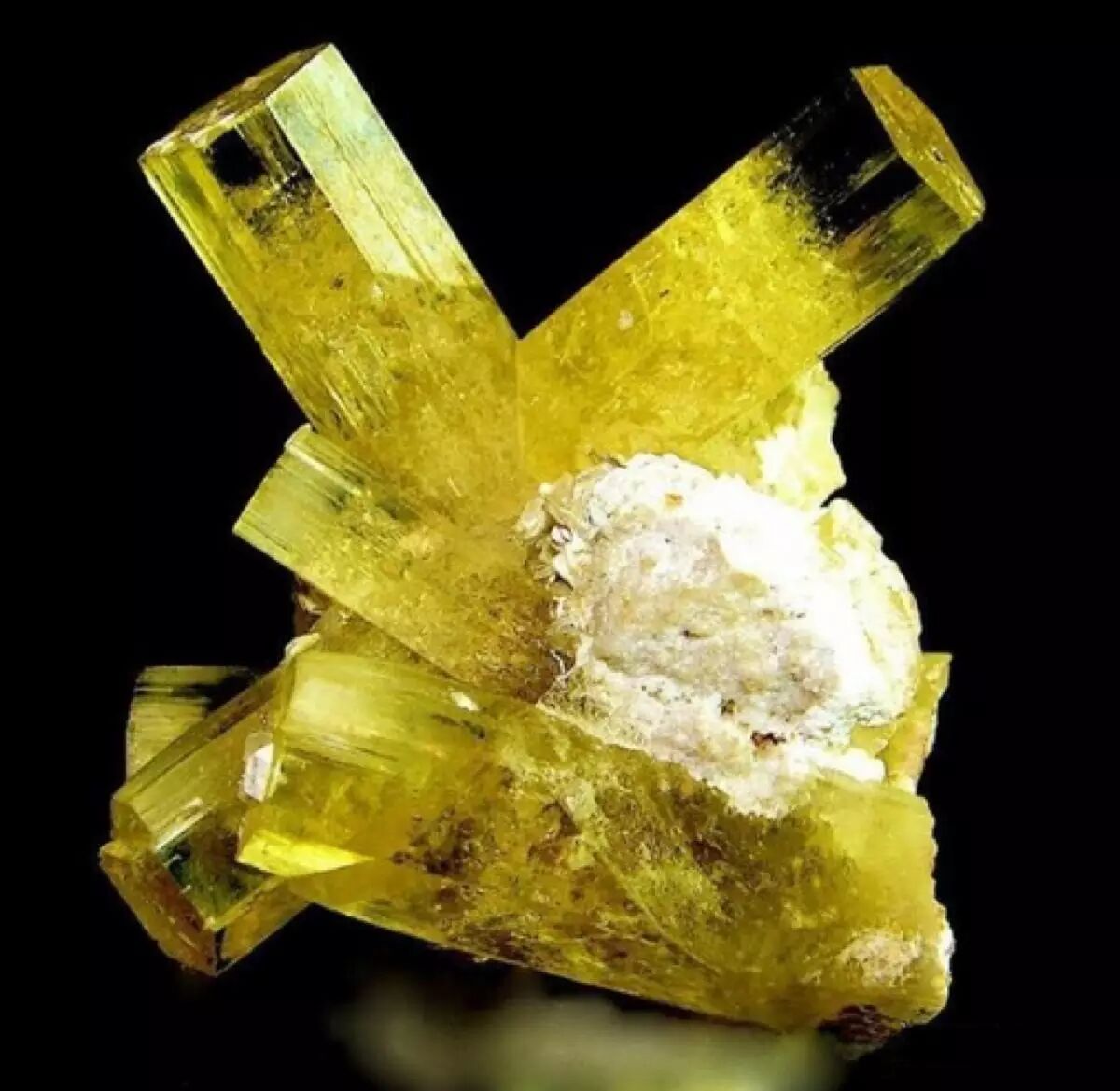 自然小课堂三月诞生石来自海洋深处的人鱼石