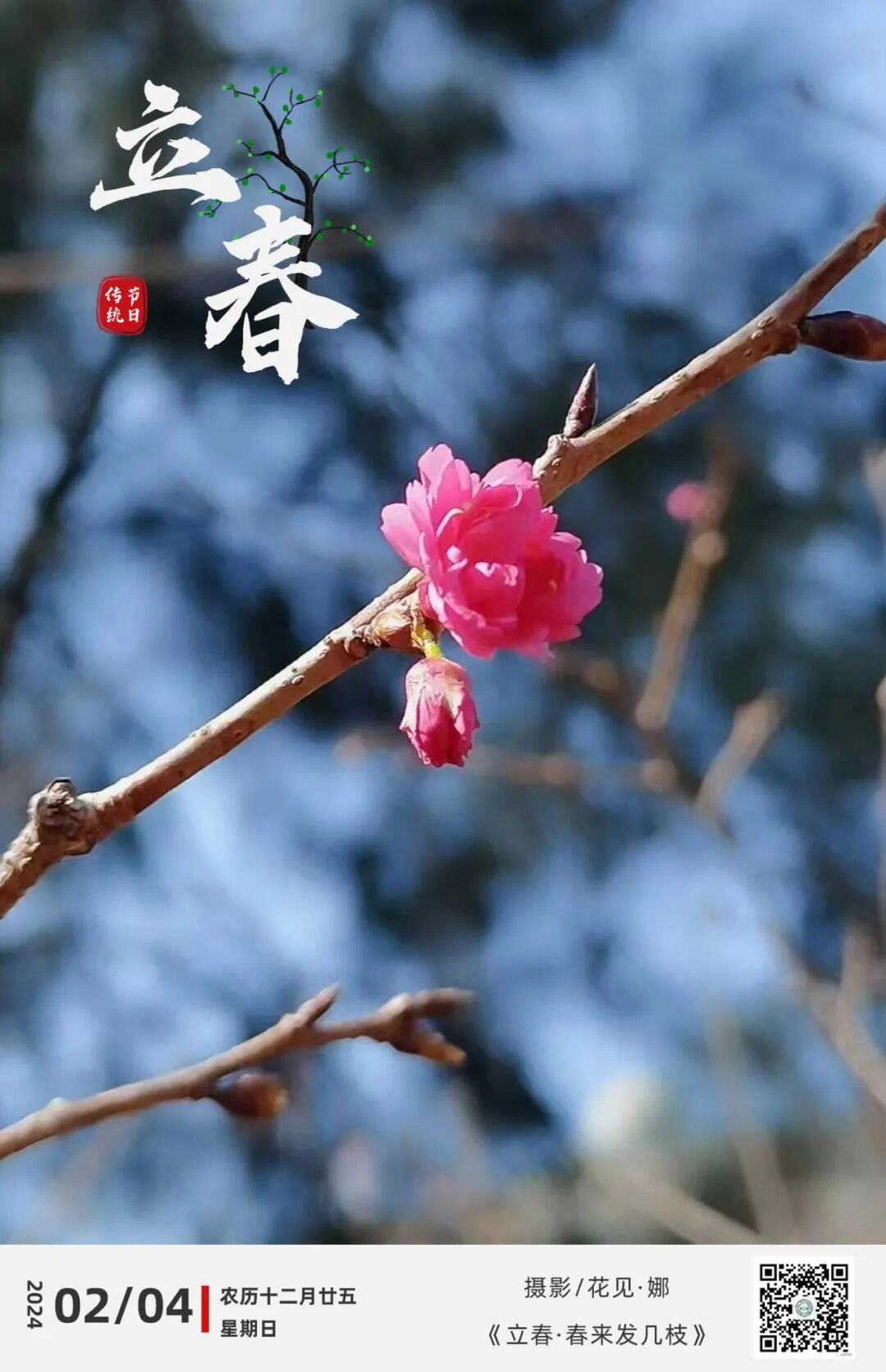 早安漳州港 | 立春·春来发几枝_开发区_公众_微信