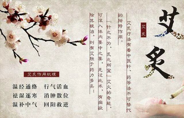 长寿需要阳气足，阳气少可用艾灸补