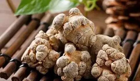 三七你适合生吃还是熟吃？