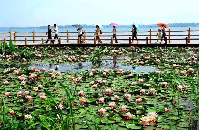 黄陂六指甘棠地楼湾_黄陂泥河水库露营_黄陂寺露营地