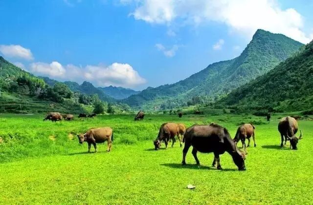 黄陂寺露营地_黄陂六指甘棠地楼湾_黄陂泥河水库露营