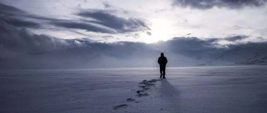 新造车的市值狂欢与耕耘者的答案