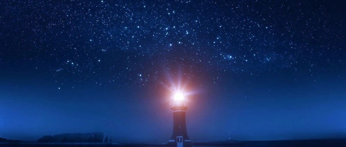 走夜路，觅微光 | 车市半年报