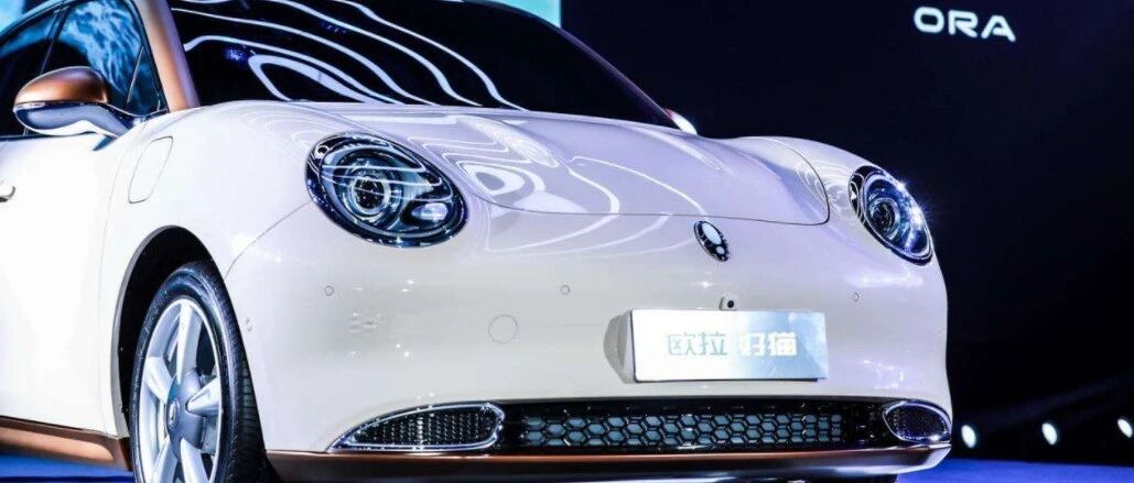 一只好猫的自我修养