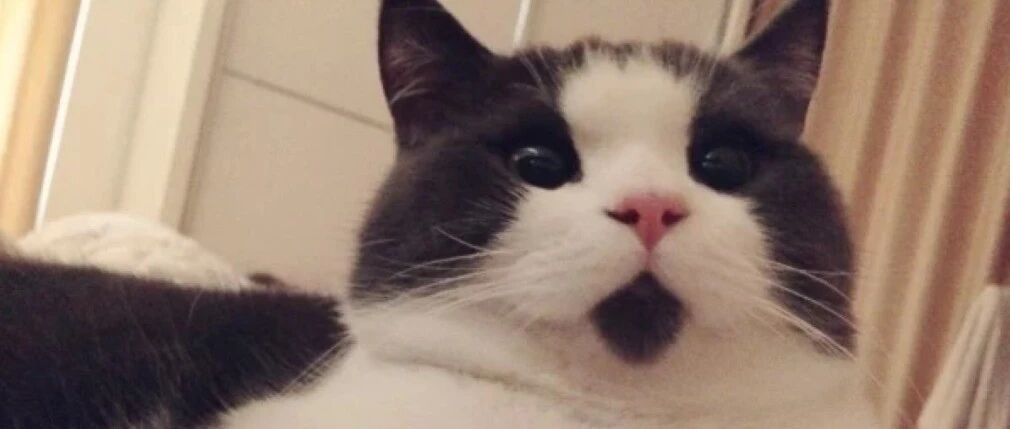 【一周车话】什么？卫士加价10万！