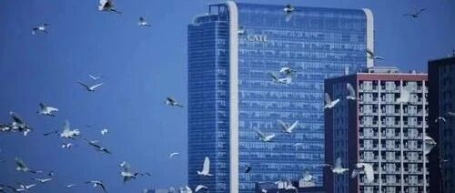 本田入股宁德时代，中国电动车优势还能守得住吗？